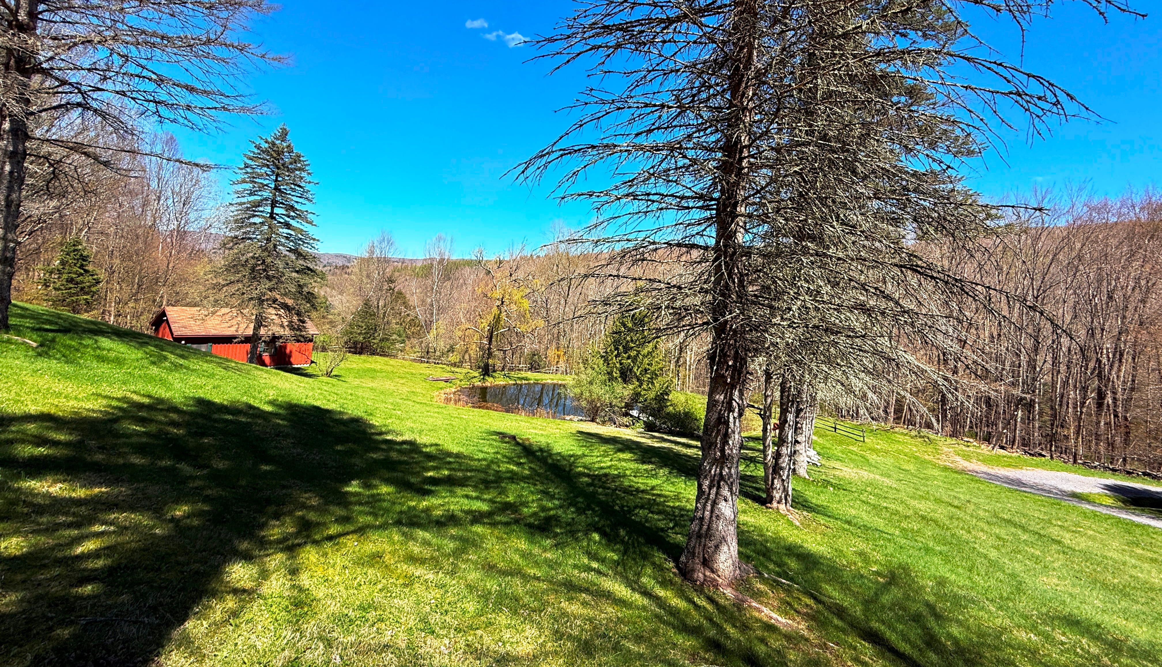 Surrounded By Nature